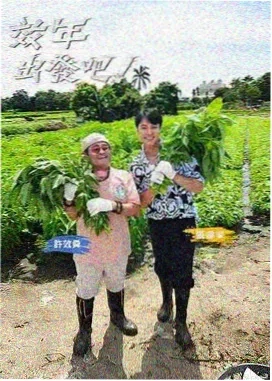 王牌对王牌9